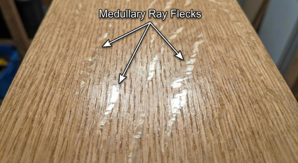 The Horizontal Cell Structure: Medullary Ray Flecks